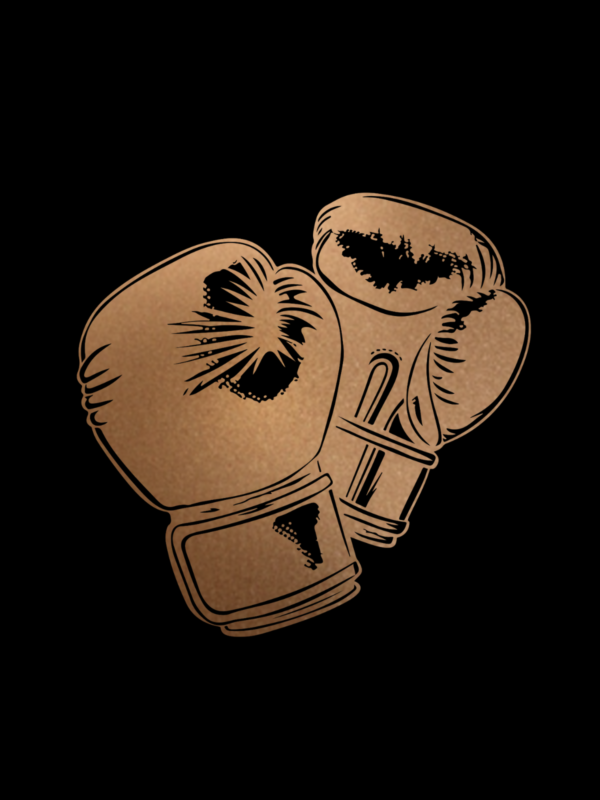 Boxing 2 Days/Week